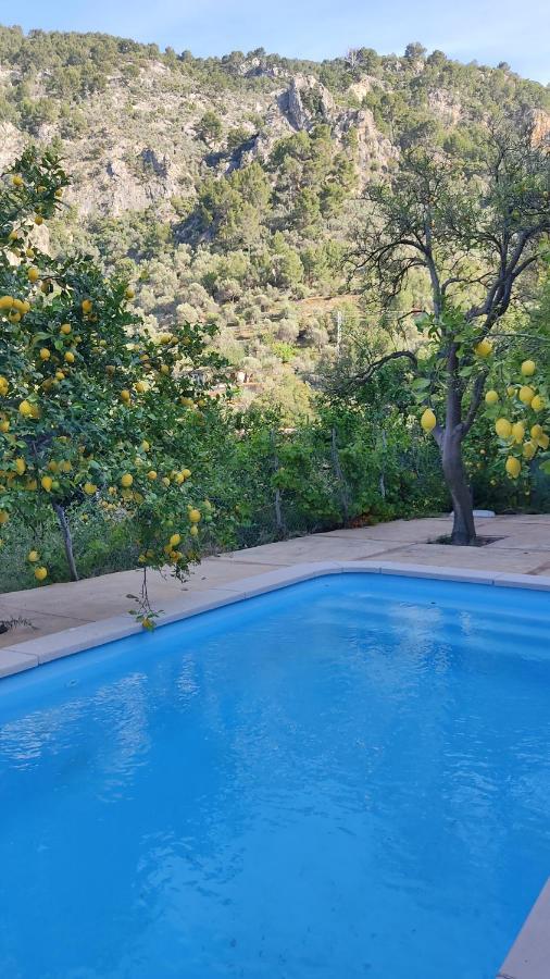 Vila Ca Na Menga Sóller Exteriér fotografie